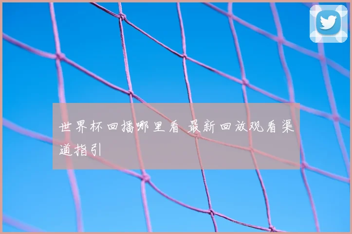 世界杯回播哪里看 最新回放观看渠道指引