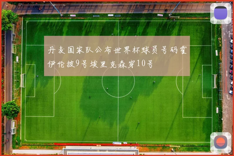 丹麦国家队公布世界杯球员号码霍伊伦披9号埃里克森穿10号
