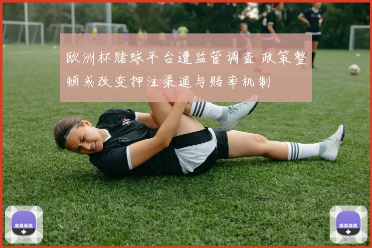 欧洲杯赌球平台遭监管调查 政策整顿或改变押注渠道与赔率机制