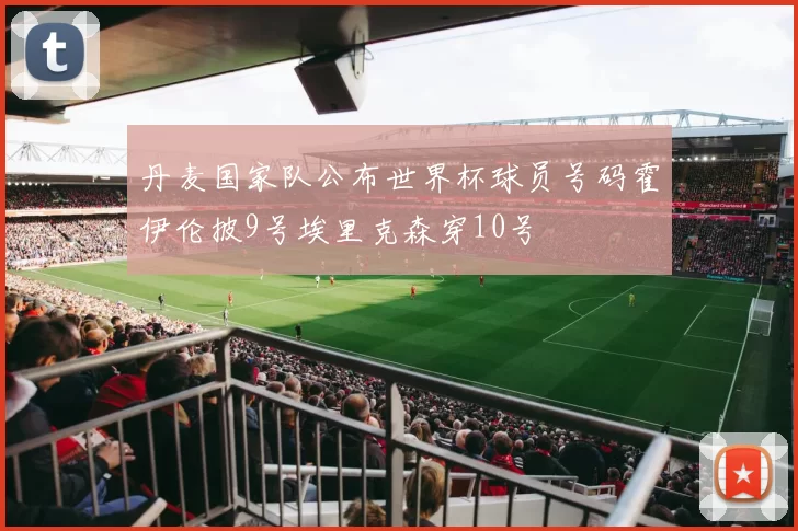 丹麦国家队公布世界杯球员号码霍伊伦披9号埃里克森穿10号