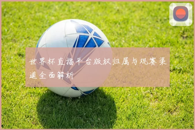 世界杯直播平台版权归属与观赛渠道全面解析