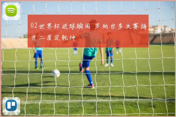 02世界杯进球瞬间 罗纳尔多决赛梅开二度定乾坤
